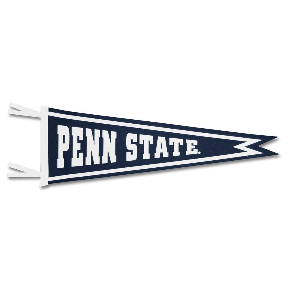 Penn State Medium Dovetail Pennant