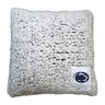 Penn State 16" Frosty Pillow
