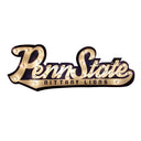 Penn State 3D Lit Script Sign