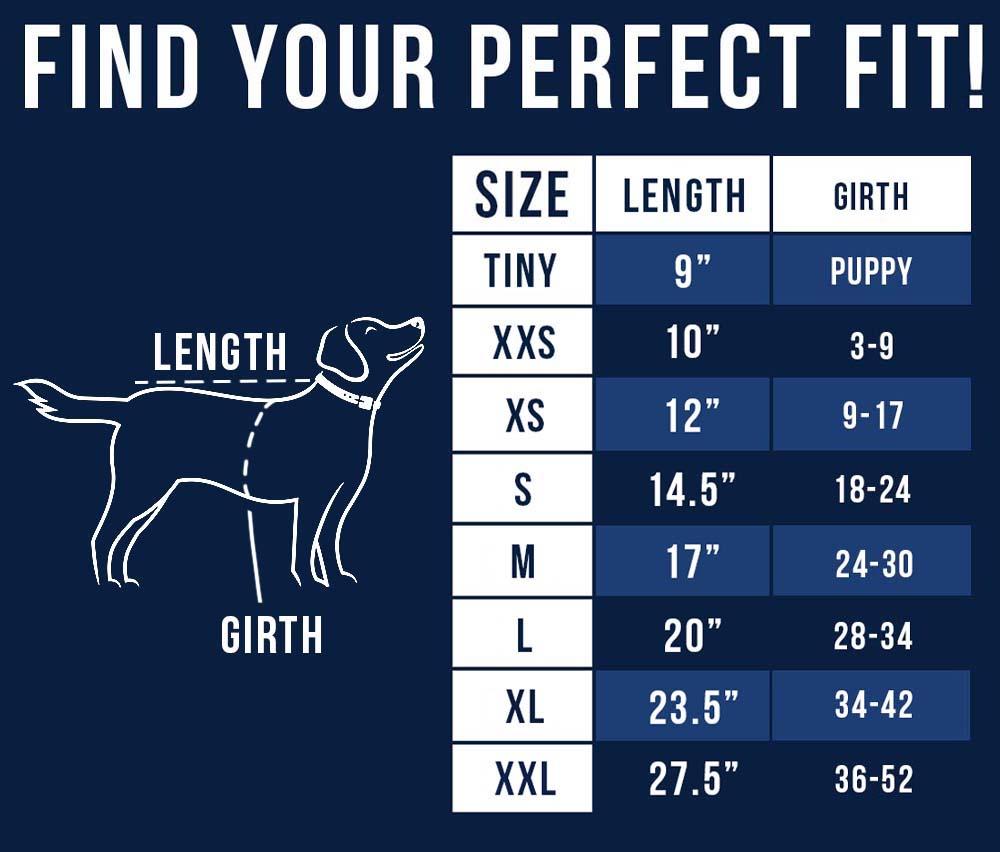 Penn State Dog Outerwear