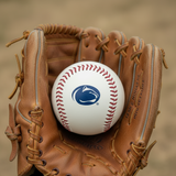 Penn State Full Wrap Baseball