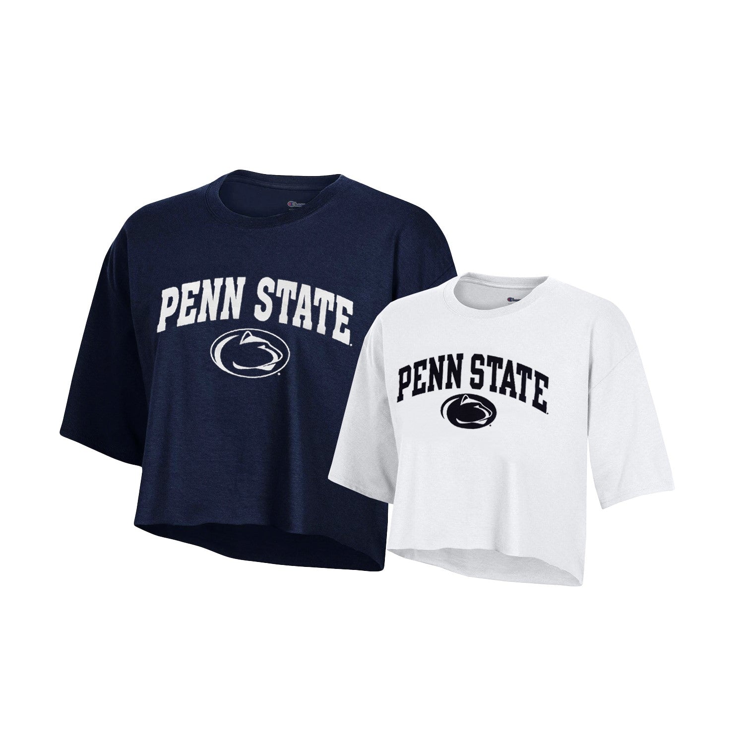 Champion PENN STATE トレーナー ネイビー　XL Men's Champion Navy Penn State Nittany Lions Big & Tall