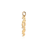 2025 Gold Charm