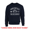 Penn State 2025 Pinstripe Bowl Crew Sweatshirt