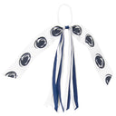 Penn State Hair Streamer
