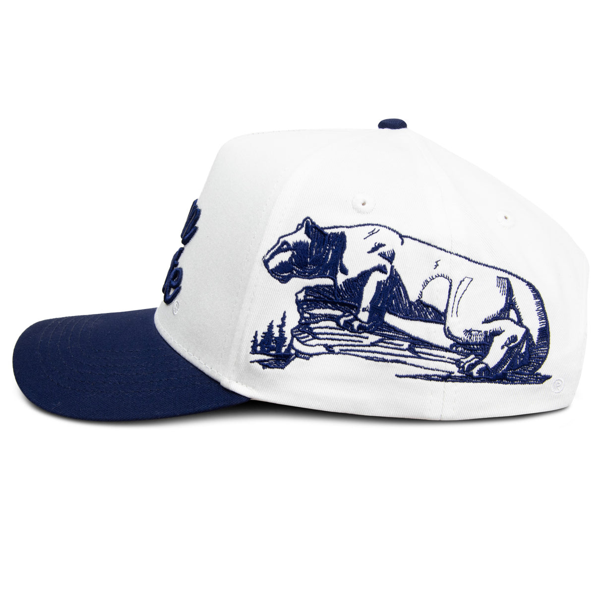 Penn State Woodn Grail Shrine Patch Hat
