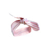 Penn State Infant Knot Striped Headband