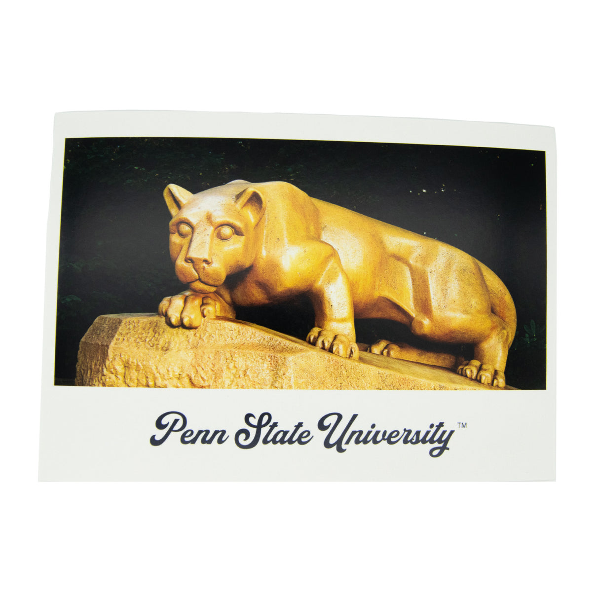 Penn State Lion Shrine Statue Post Card