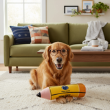 Penn State Pet Toy Pencil