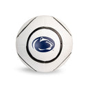 Penn State Baden Official Soccer Ball