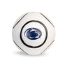 Penn State Baden Official Soccer Ball