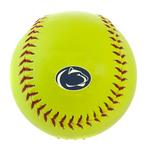 Penn State Official 12