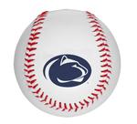 Penn State Official 9