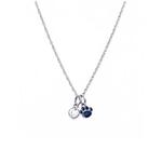 Penn State Nittany Lion Paw Charm Necklace STEEL