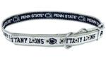 Penn State Reversible Pet Collar NAVYGRAY