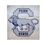 Penn State Vault Lion Plank