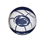 Penn State Mini Basketball